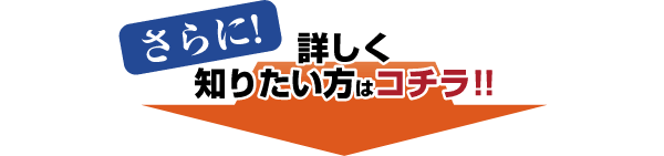 さらに詳しく知りたい方はコチラ!!